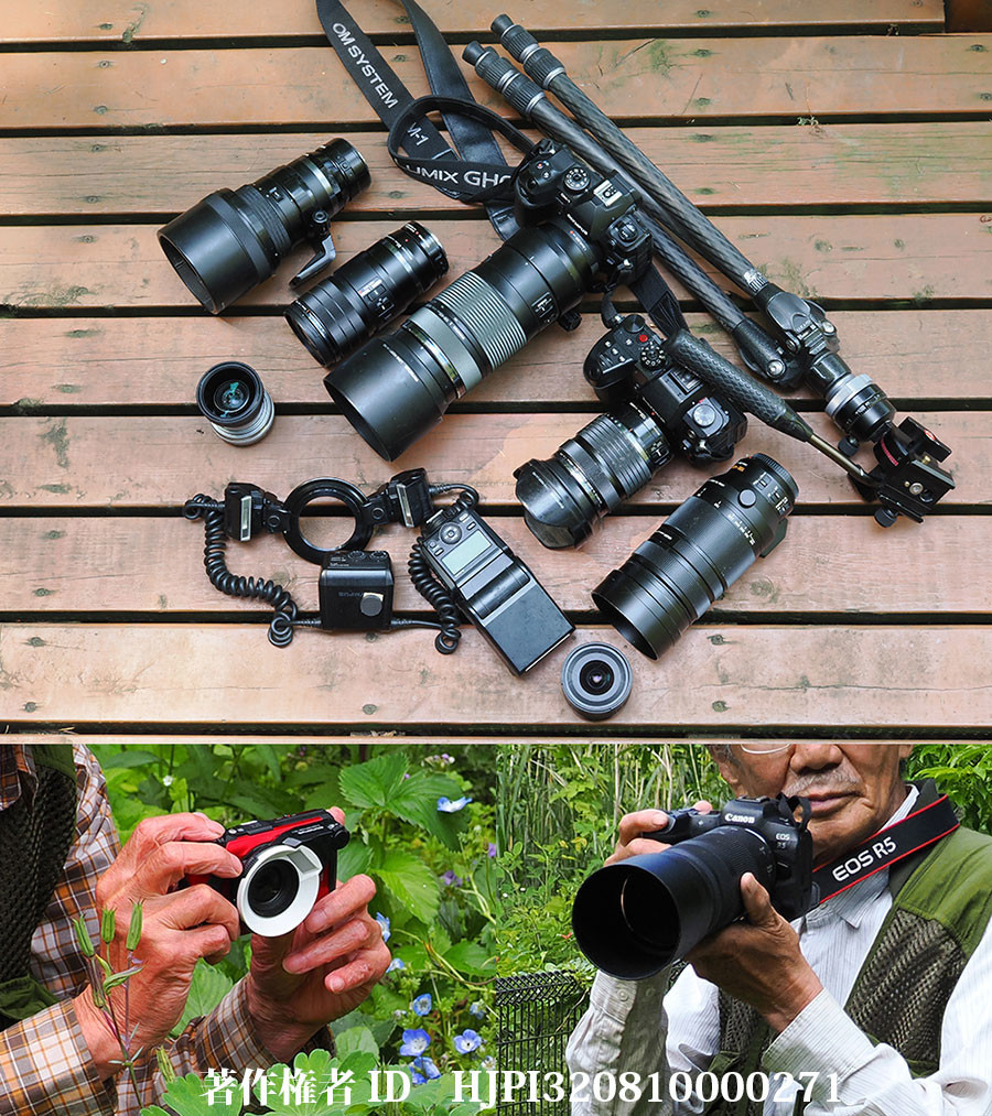 今年使ったカメラたち - 海野和男のデジタル昆虫記 - 緑のgoo