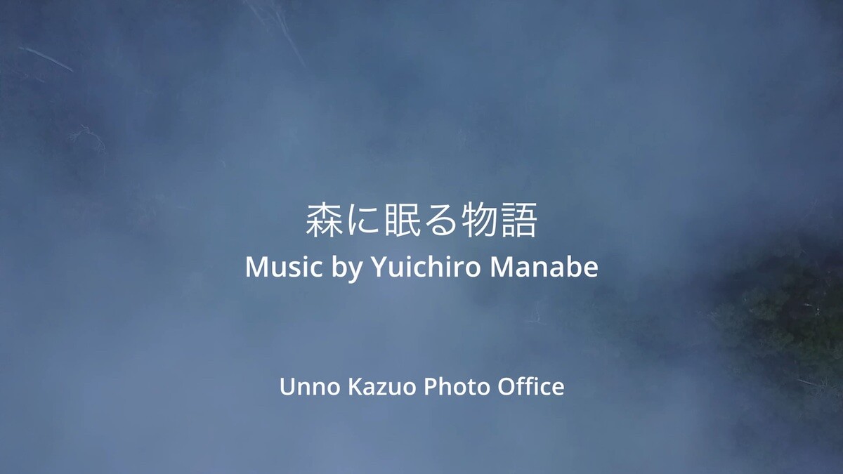 森に眠る物語