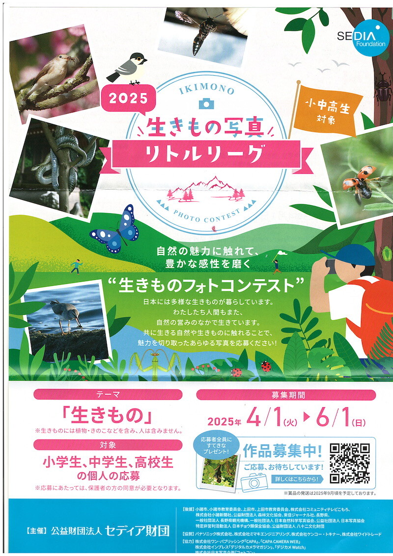 小諸日記
