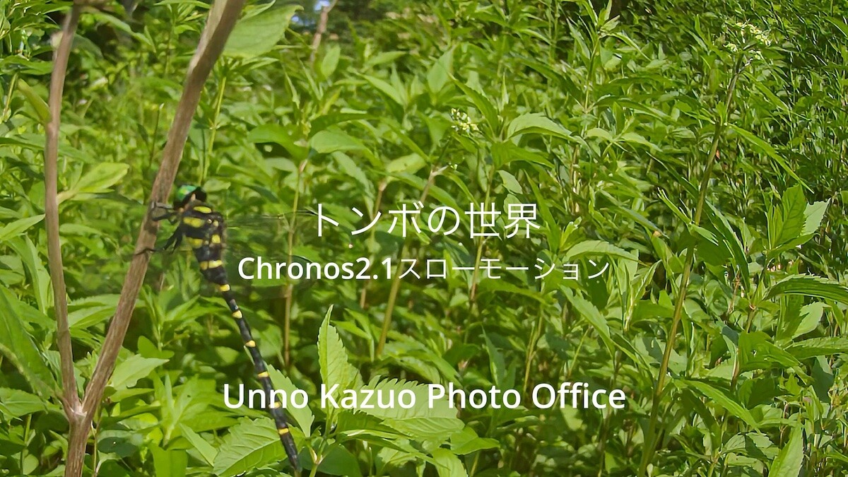 小諸日記
