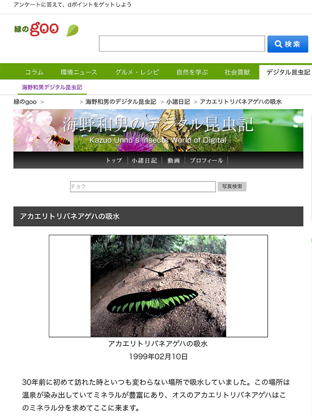 小諸日記、本日で終了いたします